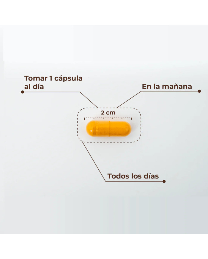 Kobho Labs Cúrcuma+Pimienta Negra