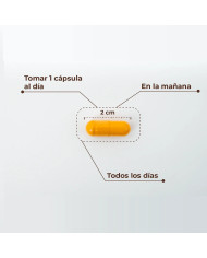 Kobho Labs Cúrcuma+Pimienta Negra