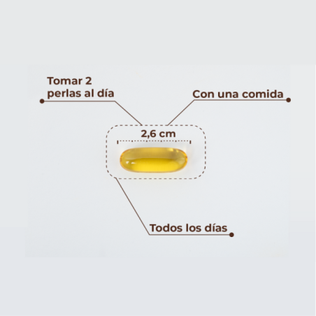 Kobho Omega-3 60 perlas información