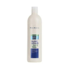 Th Champu Anticaspa Algas Y Aloe Vera vista principal