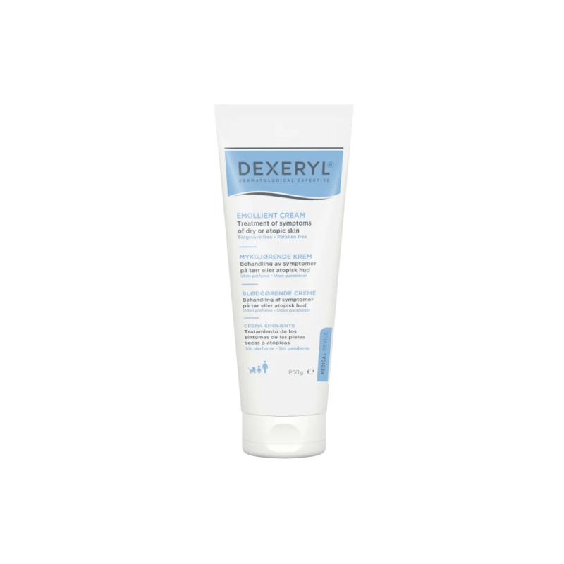 Dexeryl Crema Emoliente Ducray 1 Envase 250 G vista principal