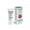 OROBEN GEL ORAL 1 ENVASE 15 ML